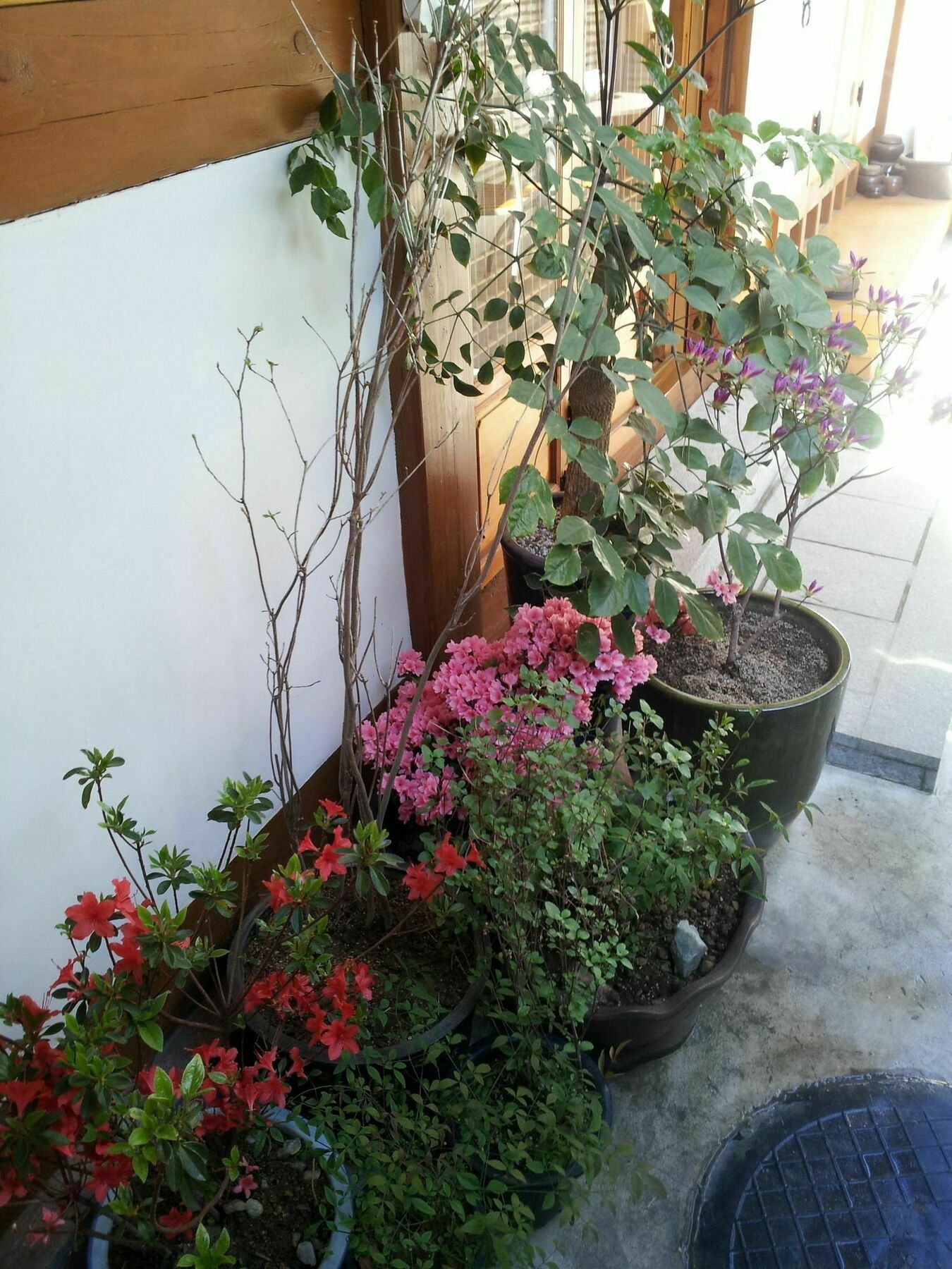 Han Hanok Guesthouse Seul Esterno foto